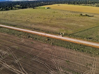 Carretera rural llena de naturaleza