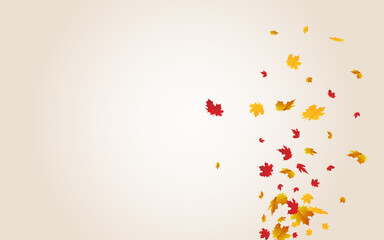 Autumnal Foliage Vector Transparent Background.