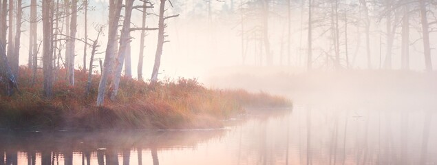 Сrystal clear lake (bog) in a fog at sunrise. Evergreen forest. Symmetry reflections on the water,...