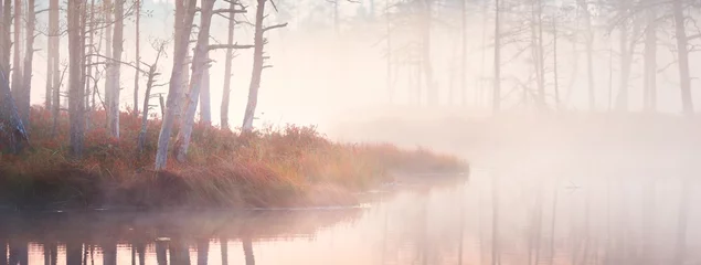Fotobehang Сrystal clear lake (bog) in a fog at sunrise. Evergreen forest. Symmetry reflections on the water, natural mirror, dark tree silhouettes. Idyllic autumn scene. Fantasy, fairy tale, dreamland © Aastels
