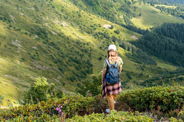 Rear view of young woman with backpack hiking in mountains among rhododendron plants and flowers...