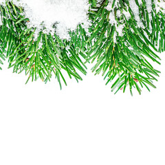 Christmas background with fir branches and  snow isolated on white background. Festive border. Top view. Flat lay