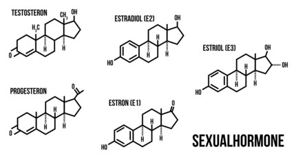 Sexualhormone/Geschlechtshormone - obrazy, fototapety, plakaty