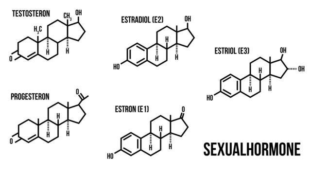 Sexualhormone/Geschlechtshormone