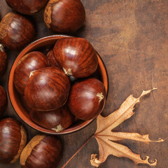 Chestnuts on on an old board with copy space. Autumn mood.  Horse chestnuts top view