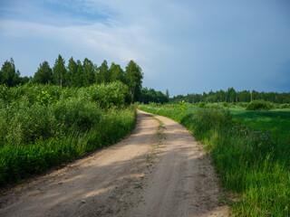 Fototapeta na wymiar gravel country road in summer green fields
