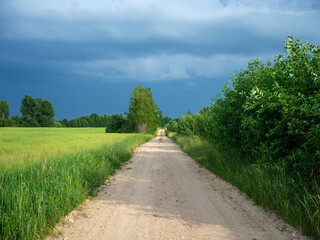 Fototapeta na wymiar gravel country road in summer green fields