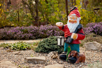 garden gnome on the background of blooming purple flowers bushes and garden