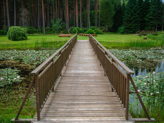 old wet wooden footpath walkway in deep green forest