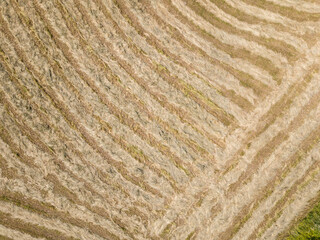 agroculture fields from above. drone image in country in autumn
