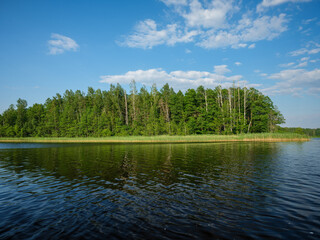country forest lake in summer with deep blue water with reflections