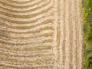 agroculture fields from above. drone image in country in autumn