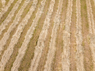 agroculture fields from above. drone image in country in autumn