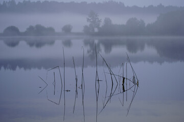 misty morning by the lake with calm water, fog and reflections of trees in mirror