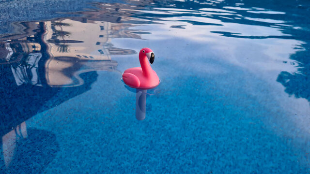 Flamingo term&ocirc;metro