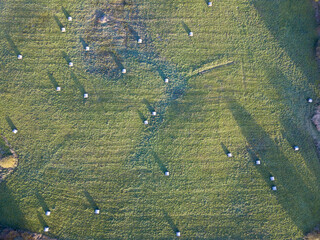 agroculture fields from above. drone image in country in autumn