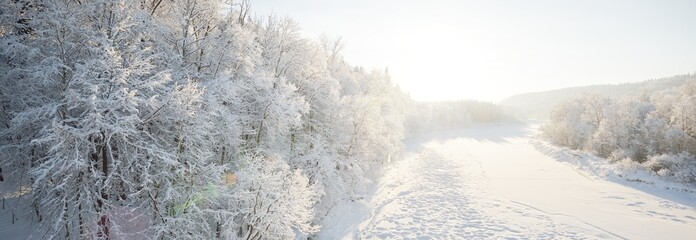 River and snow-covered forest and river after a blizzard in a morning fog. Trees close-up. Clear...