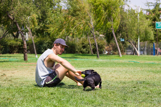 Young man playing with dog at park. Black puppy biting tennis ball with owner sitting on grass on sunny day - Powered by Adobe