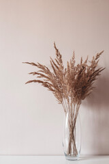 Dry beige reeds or hay flowers in the glass vase. Scandinavian-style room decor