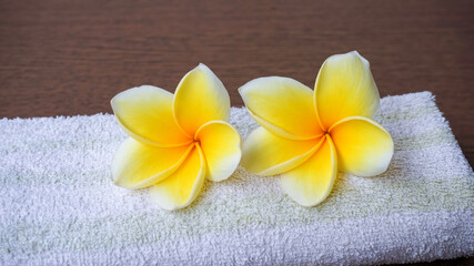 Fototapeta na wymiar frangipani flower on mat