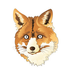 Eine Grafik eines Fuchskopfes auf weißem Hintergrund.