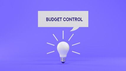 Budget control and ideas concept