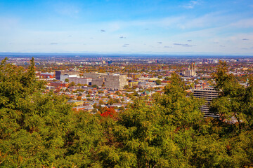 View from the hill