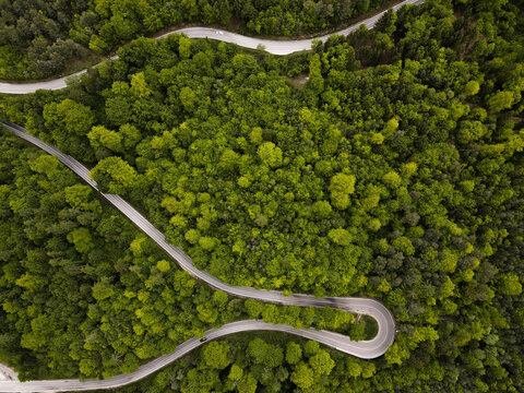 A street in the forest. Somewhere in S&uuml;dtirol. Mendelpass. Droneshot from a street. 