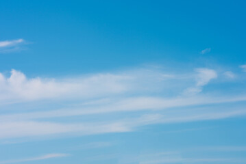 Fototapeta premium 青空