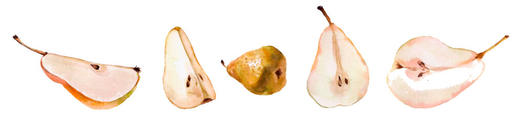Set watercolor fresh pears whole, cut in half, quarter isolated on white background Clipping Path