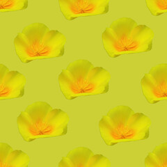 Fototapeta na wymiar Yellow flower seamless pattern. Yellow flower texture. 