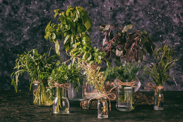 Jars of fresh garden culinary herbs are on the kitchen table. Tinted in a retro style.