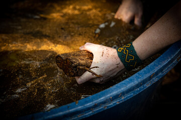 Lavação do Jagube (Ayahuasca e Santo Daime