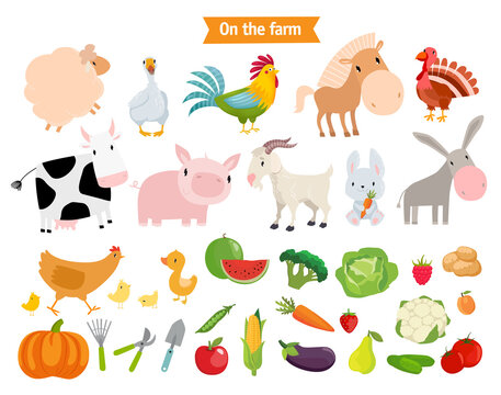 Big vector set "On the farm". Farm animals, vegetables, fruits, berries.