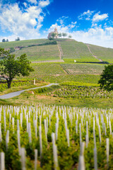 Church of Fleurie village and vineyards of Beaujolais