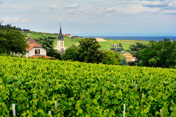 Fototapeta na wymiar Church of Fleurie village and vineyards, Beaujolais, France