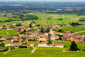 View of Fleurie village and vineyards, Beaujolais, France