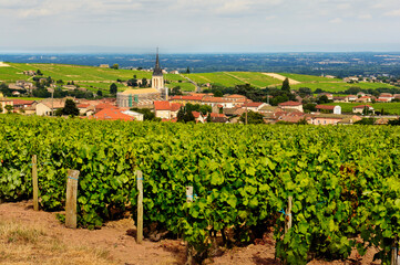 Fototapeta na wymiar View of Fleurie village and vineyards, Beaujolais, France