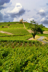 Hill of Fleurie Village with a cloudy sky, Beaujolais, France