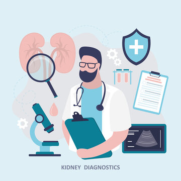 Doctor examines kidneys. Medical staff, closeup view. Diagnostics, research, treatment of organ. Nephrologist diagnoses kidneys with various tools. Medicine, nephrology concept.