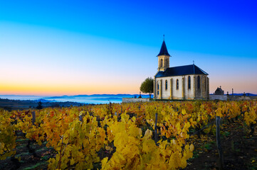 Church and vineyards of Saint Laurent d'Oingt during sunrise, Beaujolais, France