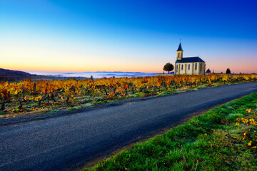 Church, vineyards and road of Saint Laurent d'Oingt during sunrise, Beaujolais, France