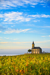 Vineyards and church in Beaujolais with a large blue sky at sunrise