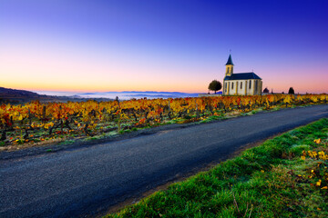 Church, vineyards and road of Saint Laurent d'Oingt during sunrise, Beaujolais, France