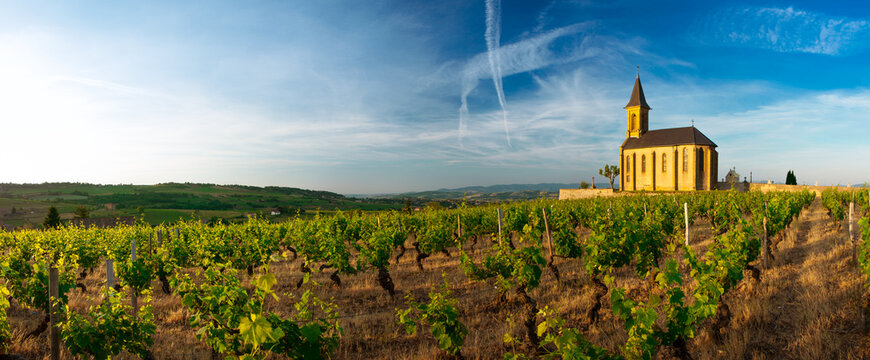 Church and vineyard