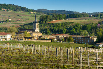 Village of Denice, Beaujolais, France