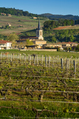 Village of Denice, Beaujolais, France