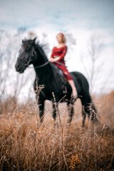 A woman in a red dress is sitting on a horse in a beautiful meadow, illuminated by bright daylight