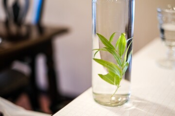 水に入った葉っぱ