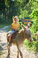 Little girl in the saddle riding on a donkey, in contact farm zoo